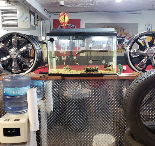 New Mexico Tires