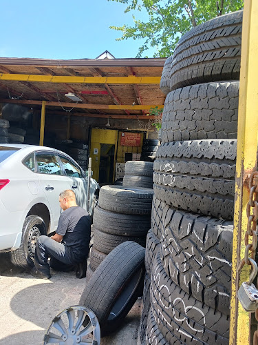 Teloloapan Tire Shop